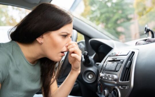 How to Get Rid of Musty Smell In Car | Experience a Fresh Interior