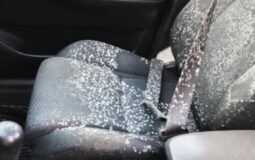 How to Remove Mold From Car Interior | Restore Your Car’s Cleanliness